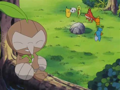 pokemon turning over a nuzleaf.